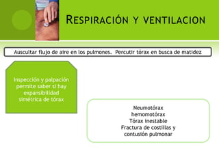 R ESPIRACIÓN Y VENTILACION

Auscultar flujo de aire en los pulmones. Percutir tórax en busca de matidez




Inspección y palpación
 permite saber si hay
    expansibilidad
  simétrica de tórax
                                               Neumotórax
                                              hemomotórax
                                             Tórax inestable
                                          Fractura de costillas y
                                           contusión pulmonar
 