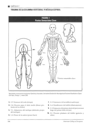 Atls programa avanzadodeapoyovitalentraumaparamédicos