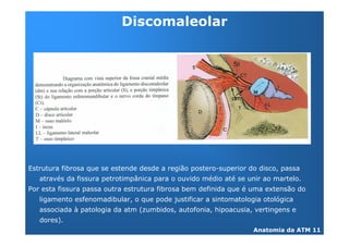 +




+                   "
        !
6
                3
    -       4       %
 