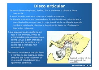 +
 +


                         "
 + /                                   - /           -
         &                                   /   /       -
         !


A sua espessura não é uniforme em
   toda a sua extensão, sendo as
   extremidades mais espessas que o
   centro (2,1,3). É bem enervada e
   vascularizada na periferia e no
   centro não é enervada nem
   vascularizada.

Durante os movimentos mandibulares,
   é mantido no seu lugar pela acção
   conjunta das fibras superiores do
   m.pt.lateral, banda bilaminar e
   ligamentos colaterais.
 