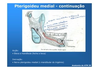 2               !"




    &   '
@+              %


?       &   '
@9
                         *
 