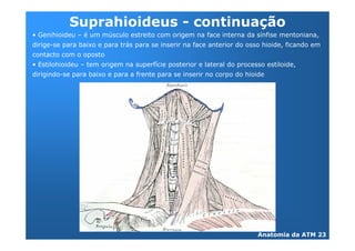 -       3       !"
@B   %       (   <
     "               /       %


@+       %   (
         "               %
 