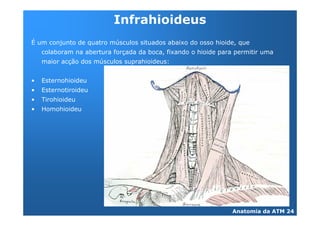 4' 3
:         3           <                   %
                          &           %
              &   <           %   '


@   +     %
@   +
@   = %
@   C     %
 