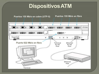 DispositivosATM
Puertos 155 Mb/s en cobre (UTP-5)   Puertos 155 Mb/s en fibra




  Puerto 622 Mb/s en fibra
 