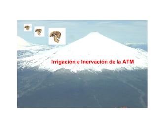 Irrigación e Inervación de la ATM 