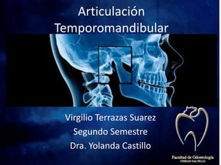 Articulación
Temporomandibular
Virgilio Terrazas Suarez
Segundo Semestre
Dra. Yolanda Castillo
 