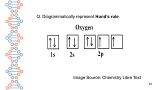 42
Q. Diagrammatically represent Hund’s rule.
Image Source: Chemistry Libre Text
 