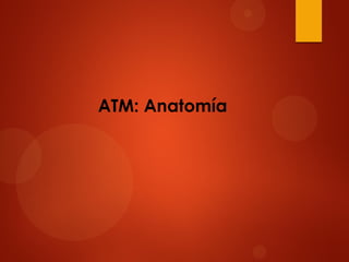 ATM: Anatomía
 