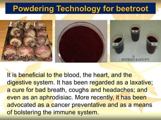 Powdering Technology for beetroot
It is beneficial to the blood, the heart, and the
digestive system. It has been regarded as a laxative;
a cure for bad breath, coughs and headaches; and
even as an aphrodisiac. More recently, it has been
advocated as a cancer preventative and as a means
of bolstering the immune system.
 