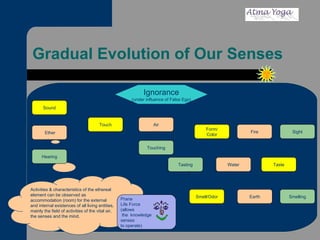 Gradual Evolution of Our Senses Activities & characteristics of the ethereal element can be observed as accommodation (room) for the external and internal existences of all living entities, mainly the field of activities of the vital air, the senses and the mind.  Ignorance (under influence of False Ego) Air Ether Touching Fire Sight Taste Water Tasting Smell/Odor Earth Smelling Form/ Color Hearing Touch Sound Prana Life Force  (allows the  knowledge senses  to operate) 