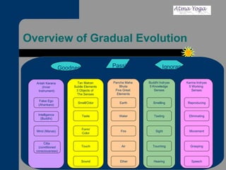 Overview of Gradual Evolution Tan Matran Subtle Elements 5 Objects of  The Senses Smell/Odor Taste Form/ Color Touch Sound Antah Karana (Inner Instrument) False Ego (Ahankara) Intelligence (Buddhi) Mind (Manas) Citta  (conditioned consciousness) Pancha Maha  Bhuta Five Great  Elements Earth Water Fire Air Ether Buddhi Indryas 5 Knowledge  Senses Sight Hearing Smelling Touching Tasting Karma Indryas 5 Working  Senses Speech Movement Grasping Eliminating Reproducing Goodness Passion Ignorance 