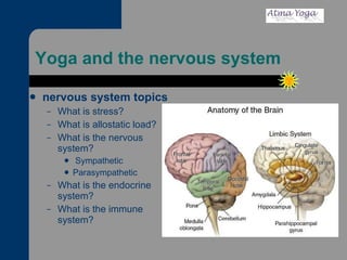 Yoga and the nervous system  nervous system topics  What is stress? What is allostatic load? What is the nervous system? Sympathetic Parasympathetic What is the endocrine system? What is the immune system? 