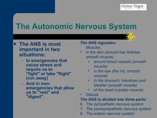 The Autonomic Nervous System  The ANS is most important in two situations:  In emergencies that cause stress and require us to "fight" or take "flight" (run away)  And in non-emergencies that allow us to "rest" and "digest". The ANS regulates:  Muscles  in the skin (around hair follicles; smooth muscle)  around blood vessels (smooth muscle)  in the eye (the iris; smooth muscle)  in the stomach, intestines and bladder (smooth muscle)  of the heart (cardiac muscle)  Glands  The ANS is divided into three parts:  The sympathetic nervous system  The parasympathetic nervous system  The enteric nervous system. 