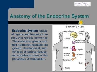 Anatomy of the Endocrine System  Endocrine System , group of organs and tissues of the body that release hormones. The endocrine glands and their hormones regulate the growth, development, and function of various tissues and coordinate many of the processes of metabolism.  