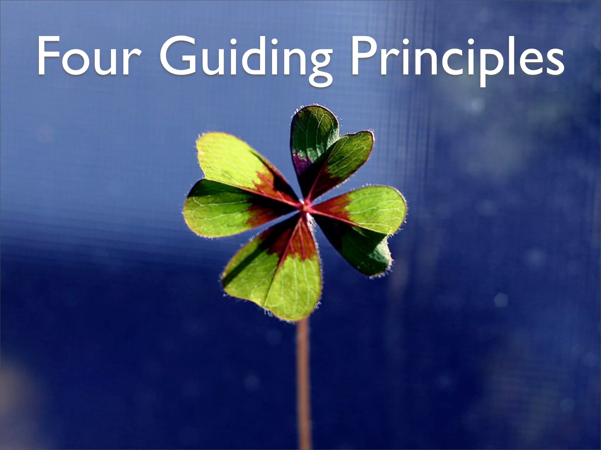 Professional Frontend Engineering