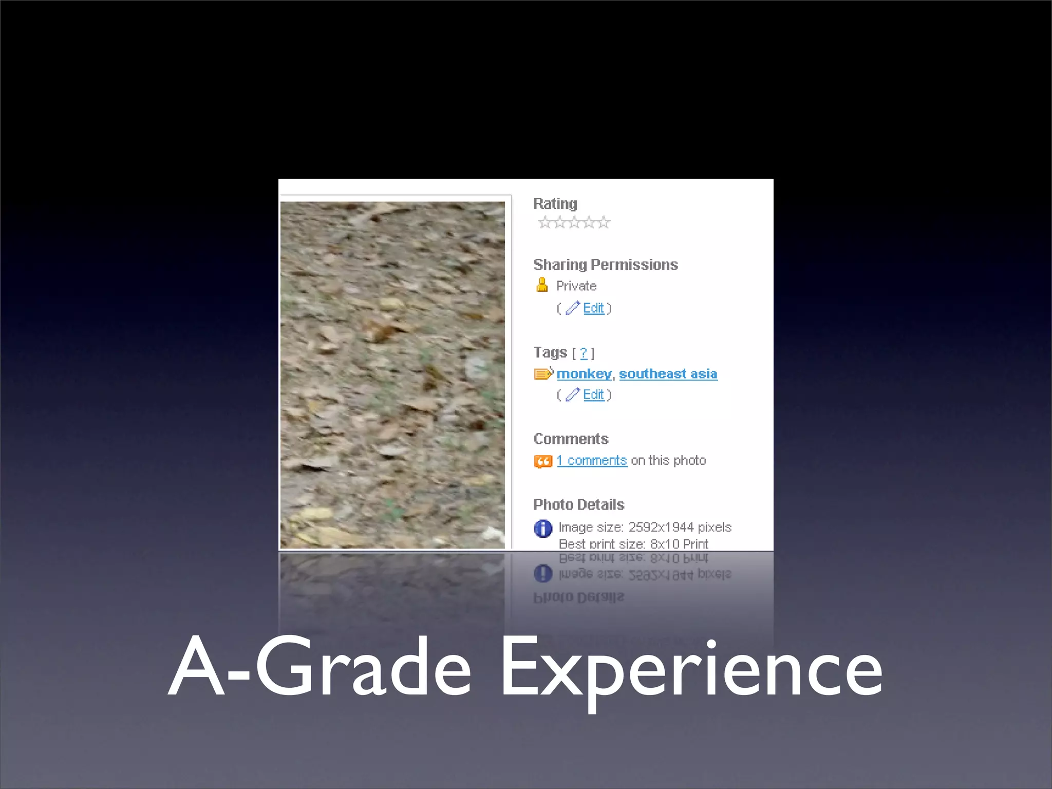 Professional Frontend Engineering