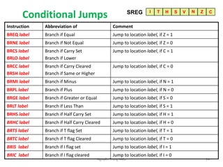 ATmega324-Chap4-Assembly-Programming.pdf