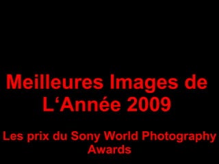 Meilleures Images de  L‘Année 2009  Les prix du Sony World Photography Awards 