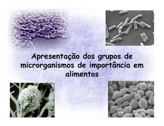 Apresentação dos grupos de
microrganismos de importância em
            alimentos
 