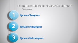 La importancia de la “Selección Natural”
Opciones Metodológicas
Opciones Pedagógicas
Opciones Teológicas
Presupuestos
 