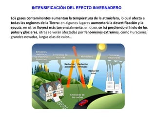 INTENSIFICACIÓN DEL EFECTO INVERNADERO
Los gases contaminantes aumentan la temperatura de la atmósfera, lo cual afecta a
todas las regiones de la Tierra: en algunos lugares aumentará la desertificación y la
sequía, en otros lloverá más torrencialmente, en otros se irá perdiendo el hielo de los
polos y glaciares, otras se verán afectadas por fenómenos extremos, como huracanes,
grandes nevadas, largas olas de calor…
 