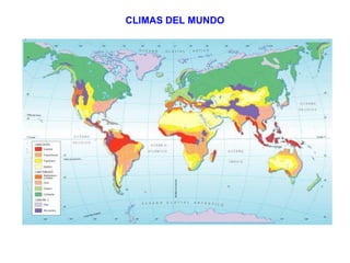 CLIMAS DEL MUNDO
 