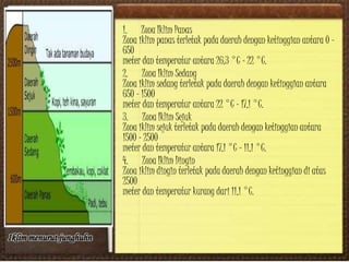 1. Zona Iklim Panas
Zona iklim panas terletak pada daerah dengan ketinggian antara 0 –
650
meter dan temperatur antara 26,3 °C – 22 °C.
2. Zona Iklim Sedang
Zona iklim sedang terletak pada daerah dengan ketinggian antara
650 – 1500
meter dan temperatur antara 22 °C – 17,1 °C.
3. Zona Iklim Sejuk
Zona iklim sejuk terletak pada daerah dengan ketinggian antara
1500 – 2500
meter dan temperatur antara 17,1 °C – 11,1 °C.
4. Zona Iklim Dingin
Zona iklim dingin terletak pada daerah dengan ketinggian di atas
2500
meter dan temperatur kurang dari 11,1 °C.
Iklim menurut junghuhn
 