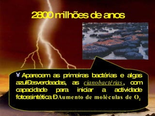 2800 milhões de anos Aparecem as primeiras bactérias e algas azul–esverdeadas, as  cianobactérias , com capacidade para iniciar a actividade fotossintética  –  Aumento de moléculas de O 2 