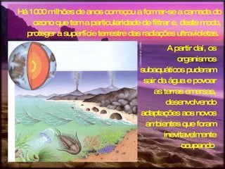 Há 1000 milhões de anos começou a formar-se a camada do ozono que tem a particularidade de filtrar e, deste modo, proteger a superfície terrestre das radiações ultravioletas.  A partir daí, os organismos subaquáticos puderam sair da água e povoar as terras emersas, desenvolvendo adaptações aos novos ambientes que foram inevitavelmente ocupando . i  Oliveira  et al.  (1999) 
