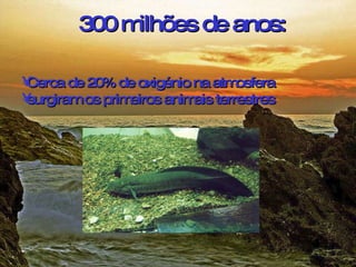 300 milhões de anos:   Cerca de 20% de oxigénio na atmosfera surgiram os primeiros animais terrestres   
