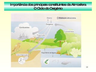 Importância dos principais constituintes da Atmosfera O Ciclo do Oxigénio 