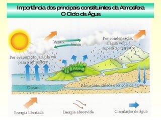 Importância dos principais constituintes da Atmosfera O Ciclo da Água 