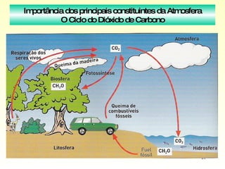 Importância dos principais constituintes da Atmosfera O Ciclo do Dióxido de Carbono 