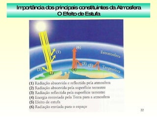 Importância dos principais constituintes da Atmosfera O Efeito de Estufa 