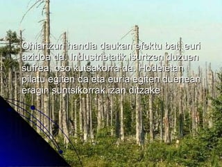 Ohiartzun handia daukan efektu bat, euri azidoa da. Industrietatik isurtzen duzuen sufrea, oso kutsakorra da. Hodeietan pilatu egiten da eta euria egiten duenean eragin suntsikorrak izan ditzake 
