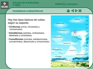 Ciencias de la Naturaleza 1º ESO FENÓMENOS ATMOSFÉRICOS La Atmósfera UNIDAD   Hay tres tipos básicos de nubes, según su aspecto: Cirriformes  (cirros, cirrostratos y    cirrocúmulos). Estratiformes  (estratos, nimbostratos,    altostratos y cirrostratos). Cumuliformes  (cúmulos, estratocúmulos,   cumulonimbos, altocúmulos y cirrocúmulos). Cirrus (Ci) Cirrostratus (Cs) Cirrocúmulos (Cc) Altocúmulos (Ac) Aloestratos (As) Stratocumulus (Sc) Nimbostratus Cumulus (Cu) Cumulonimbus (Cn) Stratus (St) 