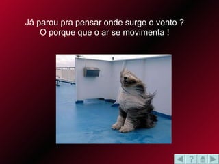 Já parou pra pensar onde surge o vento ? O porque que o ar se movimenta ! 