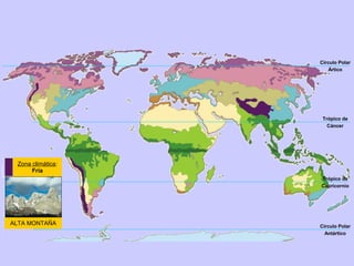 Círculo Polar
Ártico

Trópico de
Cáncer

Zona climática:
Fría
Trópico de
Capricornio

ALTA MONTAÑA

Círculo Polar
Antártico

 