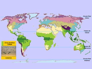Círculo Polar
Ártico

Trópico de
Cáncer

Zona climática:
Cálida
Trópico de
Capricornio

SABANA

Círculo Polar
Antártico

 