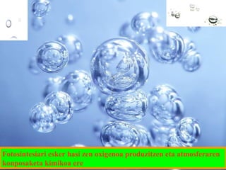 Fotosintesiari esker hasi zen oxigenoa produzitzen eta atmosferaren
konposaketa kimikoa ere

 