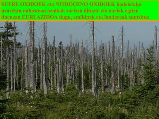 SUFRE OXIDOEK eta NITROGENO OXIDOEK hodeietako
urarekin nahastean azidoak sortzen dituzte eta euriak egiten
duenean EURI AZIDOA dugu, eraikinak eta landareak suntsituz

 