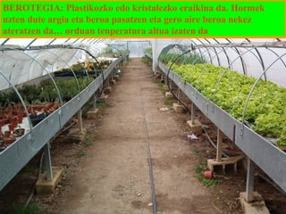 BEROTEGIA: Plastikozko edo kristalezko eraikina da. Hormek
uzten dute argia eta beroa pasatzen eta gero aire beroa nekez
ateratzen da… orduan tenperatura altua izaten da

 