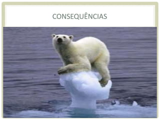 CONSEQUÊNCIAS
 