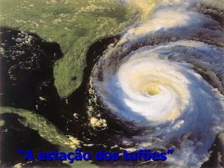 “ A estação dos tufões” 