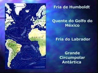 Fria de Humboldt   Quente do Golfo do México Fria do  Labrador Grande Circumpolar Antártica  