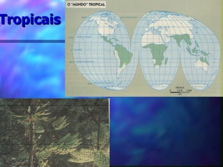 Tropicais   
