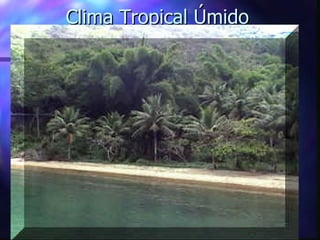 Clima Tropical Úmido 
