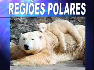 REGIÕES POLARES 
