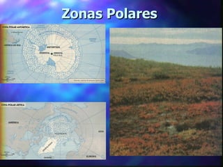Zonas Polares   