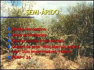 SEMI-ÁRIDO Sertão Nordestino Secas prolongadas Chuvas curtas e torrenciais Causas da seca: Rios abertos para o mar; Solo impermeável, relevo TEMP : 26° 
